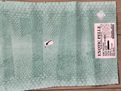 Aquamarine Green Pearl Genuine Anaconda Snake Leather 526 product photo 7