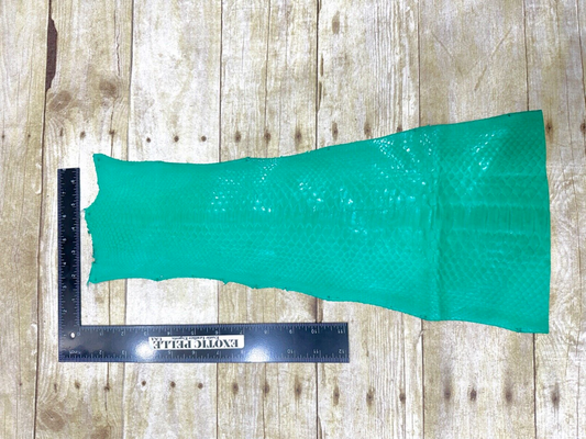 Green Piece Genuine Python Snakeskin Leather real hide snake skin Rattle 332