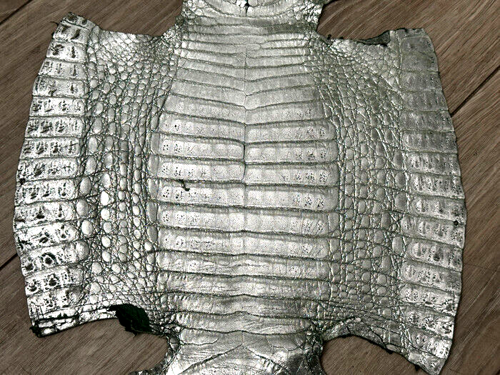 Green Metallic Genuine Caiman Crocodile Belly Hide Leather Skin Alligator 512