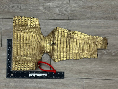 Gold on Brown Genuine Caiman Crocodile Hide Leather piece Skin Gator Croc 445