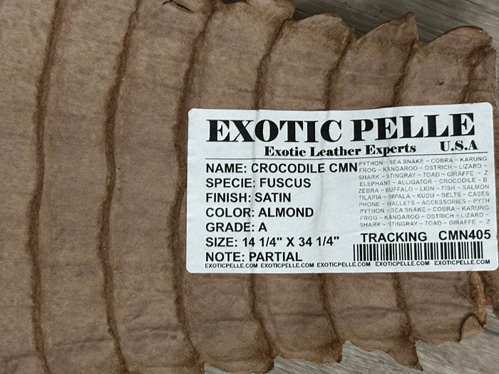 XL Tan Almond Genuine Crocodile Belly Tail Hide Leather Skin real alligator 405