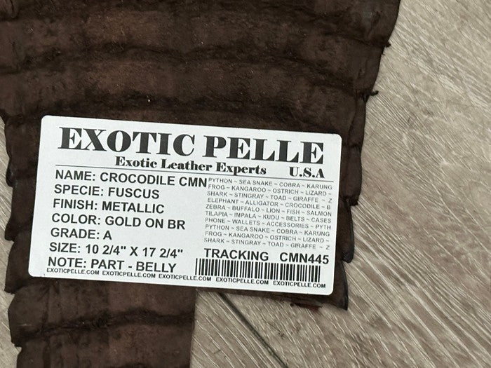 Gold on Brown Genuine Caiman Crocodile Hide Leather piece Skin Gator Croc 445