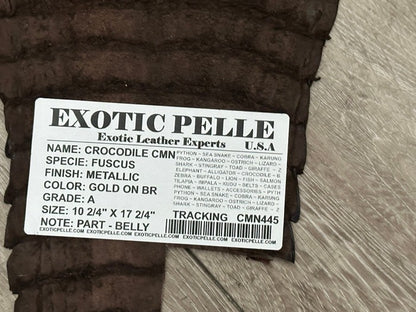 Gold on Brown Genuine Caiman Crocodile Hide Leather piece Skin Gator Croc 445