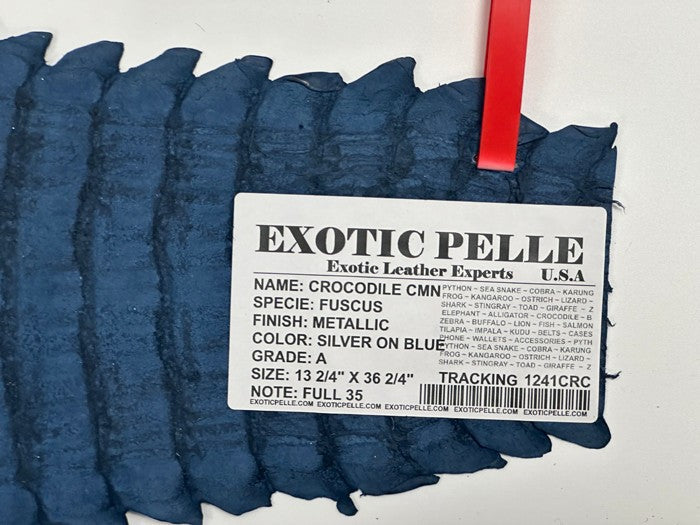 XL Silver on Blue Caiman Genuine Crocodile Hide Leather real alligator Croc 241