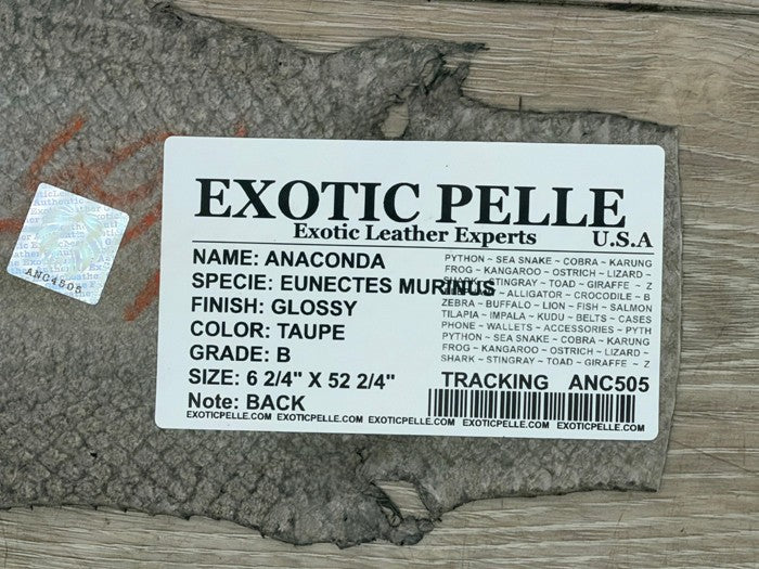 Taupe Gray Gray Brown Glossy Genuine Anaconda Snake Leather 505 product photo 6
