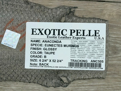Taupe Gray Gray Brown Glossy Genuine Anaconda Snake Leather 505 product photo 6
