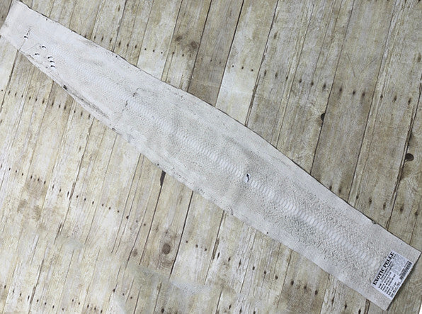 Silver on Natural Genuine Python Remnant piece Leather real hide snake skin 238