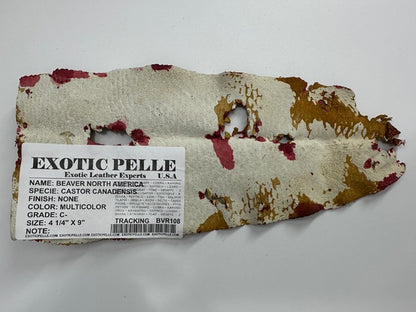 Multicolor Genuine Beaver Tail Crust Hide Skin Leather exotic fish shark 108