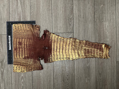 Red gold Metallic Genuine Caiman Crocodile Belly Hide Leather Skin Alligator 477