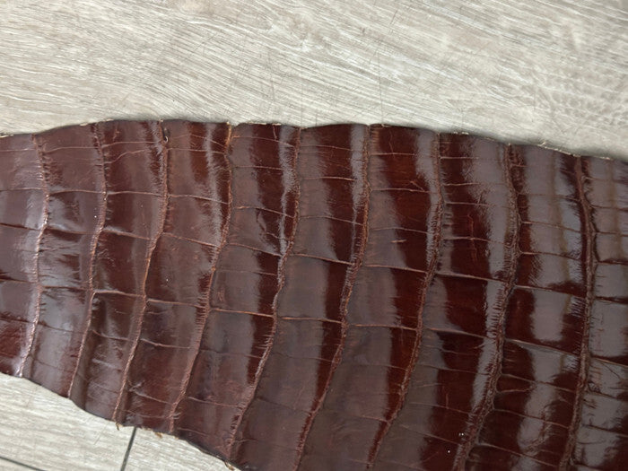 Mahogany Genuine Alligator Tail Hide Leather Skin Piece Scrap Gator Croc Belly 3