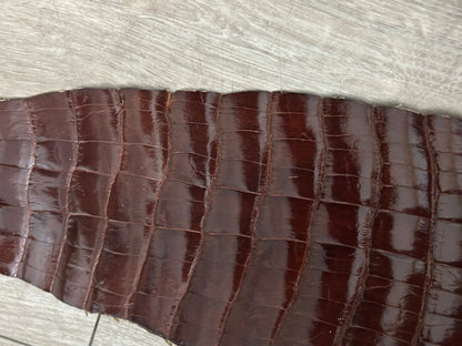 Mahogany Genuine Alligator Tail Hide Leather Skin Piece Scrap Gator Croc Belly 3