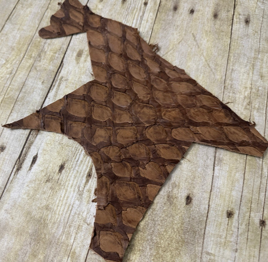 Brown Pirarucu Hide Genuine Skin Arapaimia Gigas Remnant Scrap Fish Leather 258