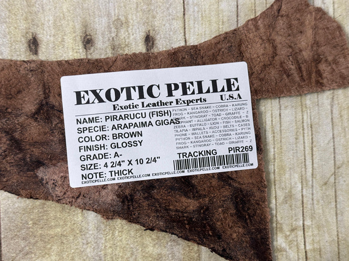 Brown Pirarucu Hide Genuine Skin Arapaimia Gigas Remnant Scrap Fish Leather 269