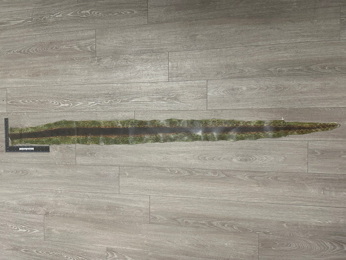 Green Natural Genuine Anaconda Snakeskin Leather real hide snake skin python 312