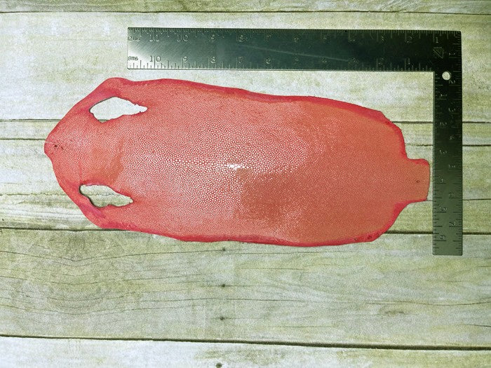 Pink Coral Polished & Sanded Genuine Stingray Leather product photo 2