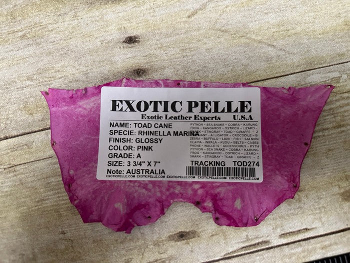 Pink TOAD Hide Genuine Leather GLOSSY cane frog Exotic rana Skin Taxidermy 274