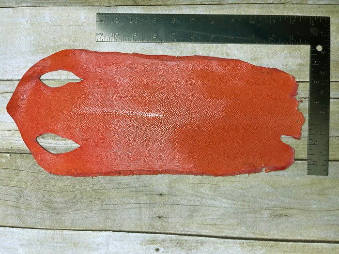 Orange Polished & Sanded Genuine Stingray Leather RAY928 product photo 2
