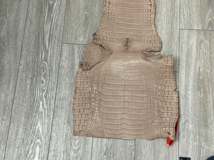 XL Tan Almond Genuine Crocodile Belly Tail Hide Leather Skin real alligator 405