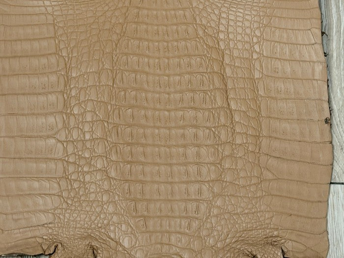 Brown , Mocha Matte Genuine Crocodile Caiman Leather product photo 3