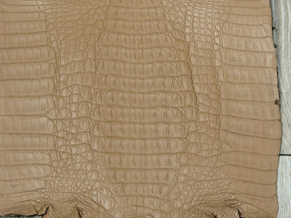 Brown , Mocha Matte Genuine Crocodile Caiman Leather product photo 3