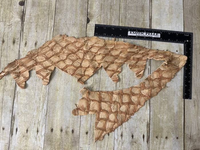 Ivory Pirarucu Hide Genuine Skin Arapaimia Gigas Remnant Scrap Fish Leather 259