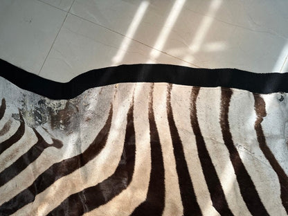 NEW JUMBO 10+ Foot Genuine African Burchells Zebra Rug Safari hair on Hide Skin