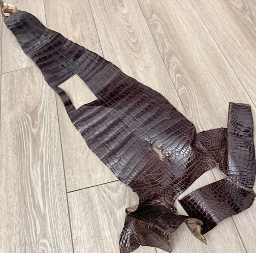 Genuine Alligator Leather - Brown Glossy Distressed Belly Cut WYSIWYG 441 product photo 1