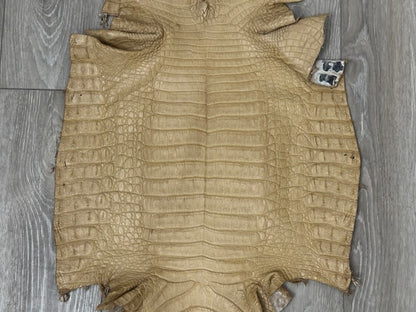 XL Tan Genuine Caiman Crocodile belly Hide Leather real alligator Croc 608