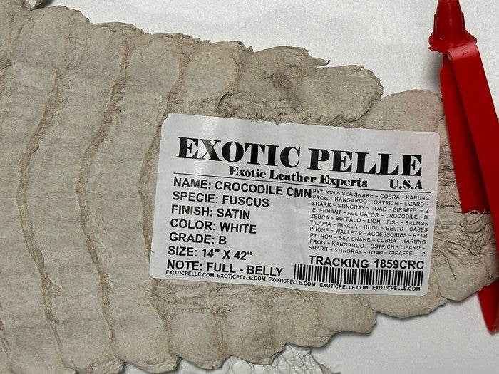 XL White Genuine Caiman Crocodile belly Hide Leather real alligator Croc 859