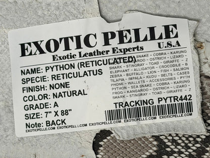 Genuine Reticulated Python - Natural WYSIWYG 442 product photo 4