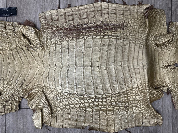 Gold Satin Genuine Caiman Crocodile Leather CMN495 product photo 4