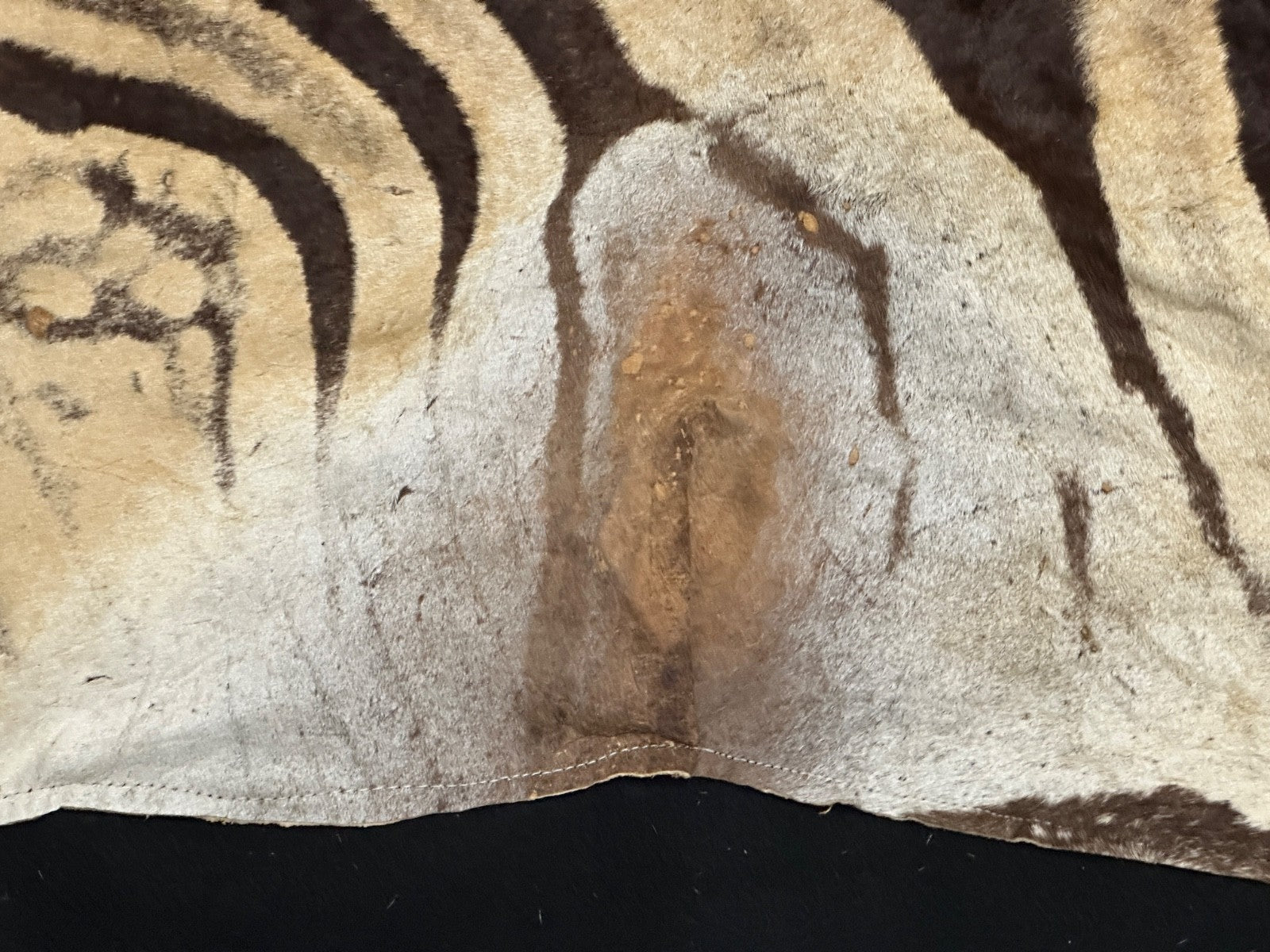 Natural Genuine Zebra Leather mini Rug ZBR18 product photo 13