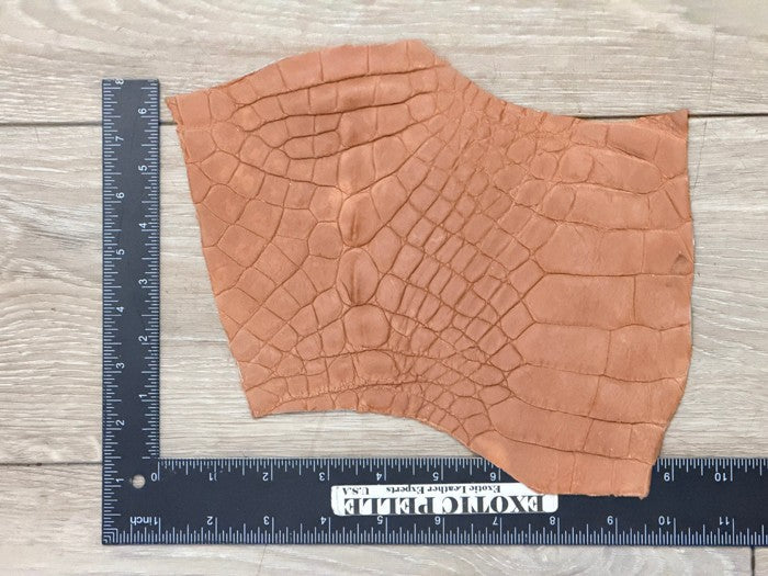 Brown Matte Genuine Caiman Crocodile Leather CMN104 product photo 2
