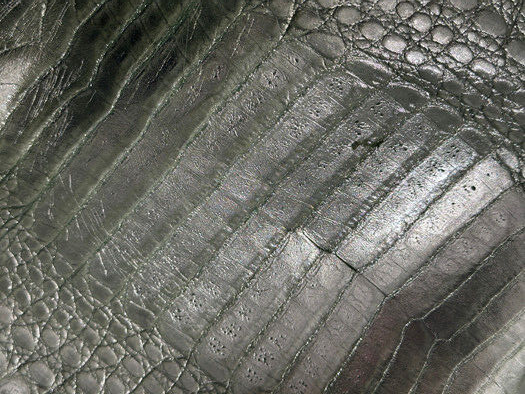 Green Metallic Genuine Caiman Crocodile Belly Hide Leather Skin Alligator 512