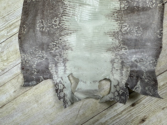 Natural Genuine Ring Lizard Leather Hide Exotic Skin Teju Tegu Iguana real 134