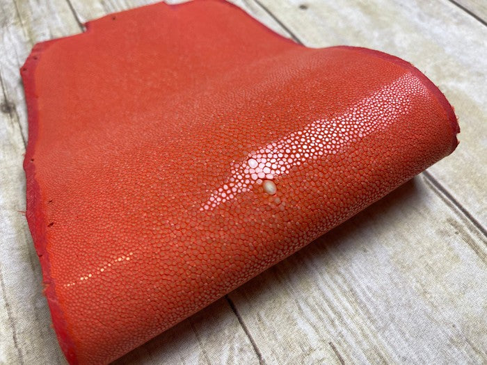 ORANGE Genuine Polished Sanded Stingray Hide Skin Sting Ray Leather Shagreen 931
