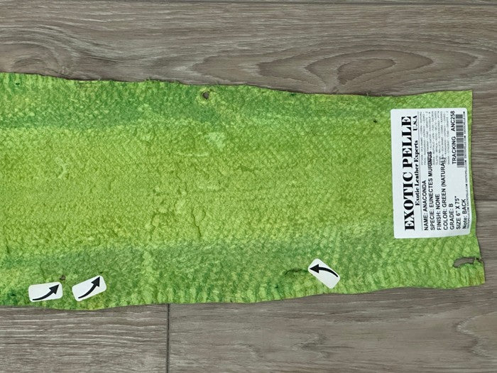 Green Natural Pattern Genuine Anaconda Snake Leather 258 product photo 6