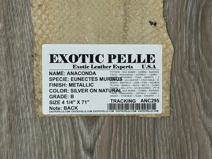 Silver on Natural Genuine Anaconda Leather hide snake skin python Boa rattle 295