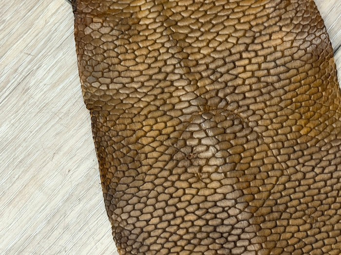 Genuine Beaver Tail Leather - Brown Matte WYSIWYG 129 product photo 2