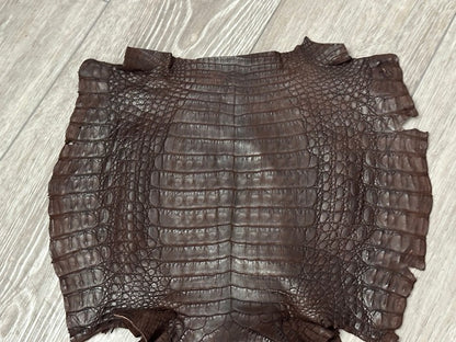 Brown Caiman Crocodile belly Hide Leather Skin real alligator remnant Croc 388