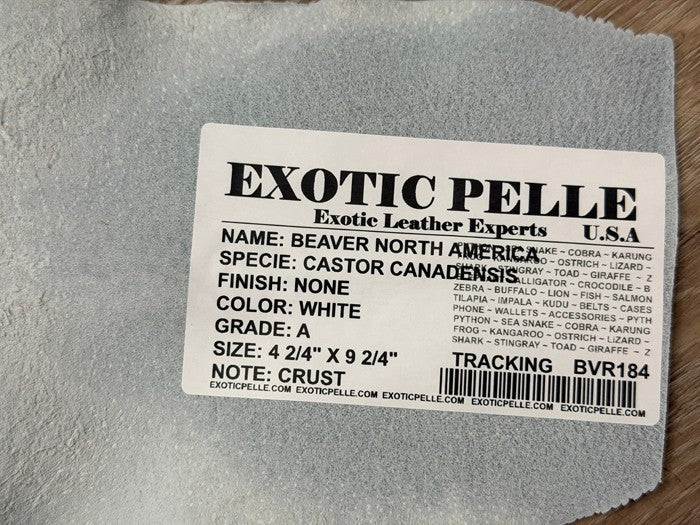 Genuine North American Beaver Tail Leather - White Crust WYSIWYG 184 product photo 3