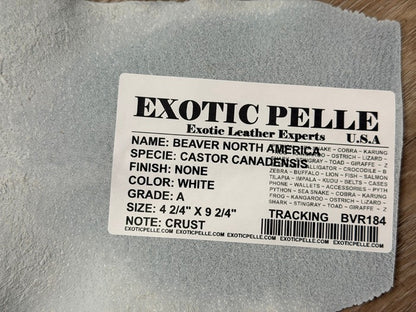 Genuine North American Beaver Tail Leather - White Crust WYSIWYG 184 product photo 3