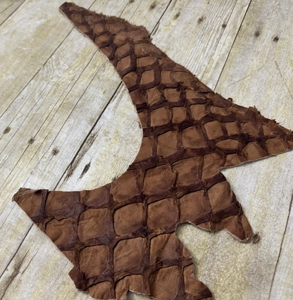 Brown Pirarucu Hide Genuine Skin Arapaimia Gigas Remnant Scrap Fish Leather 253