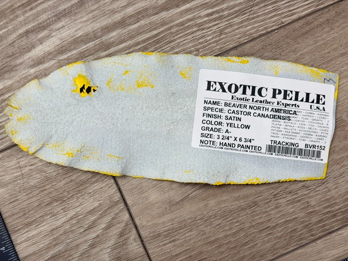 Yellow Painted Satin Genuine Beaver Tail Leather 152 product photo 3