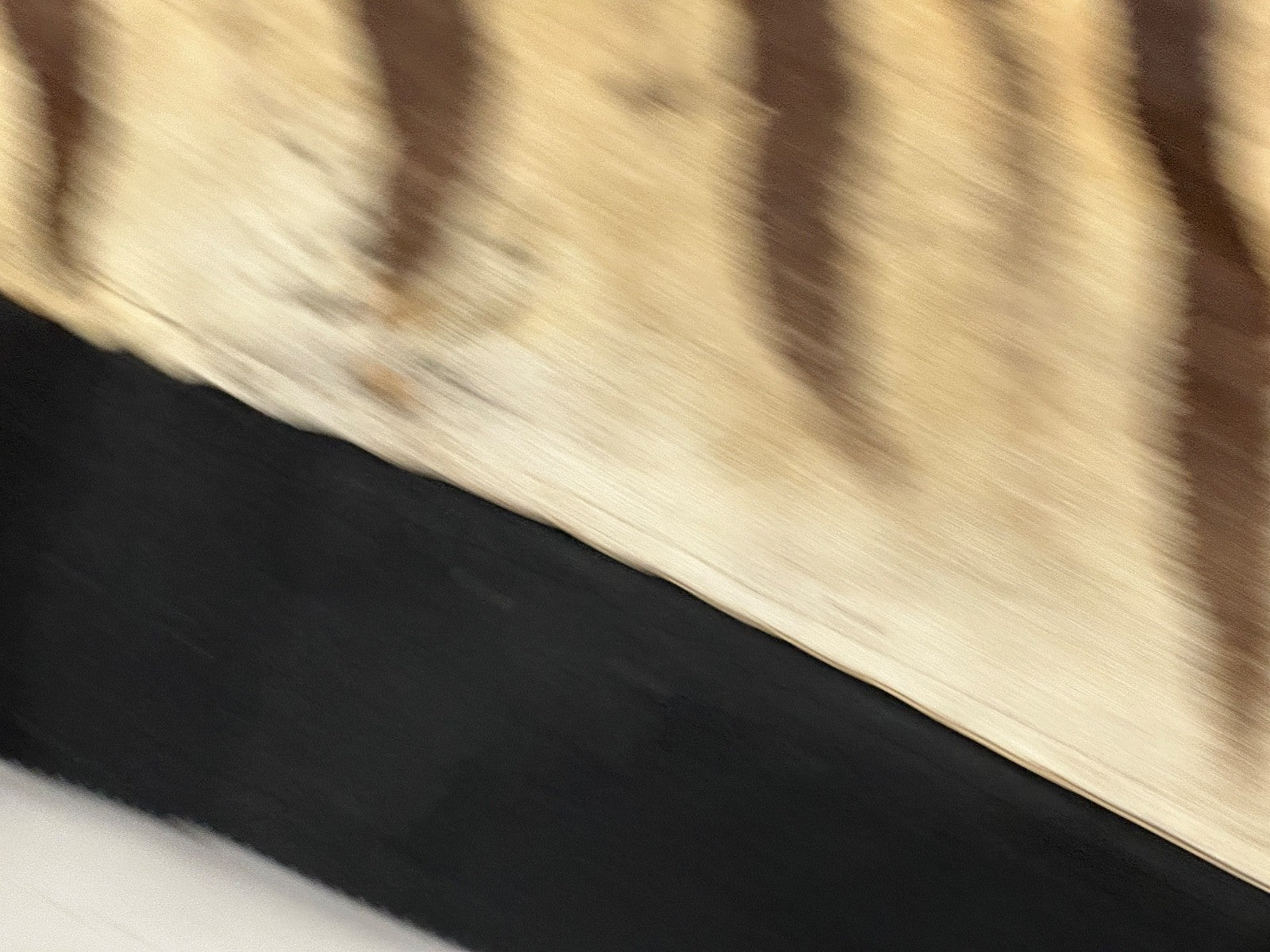 Natural Genuine Zebra Leather mini Rug ZBR18 product photo 12