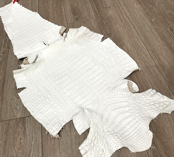 XL White Genuine Caiman Crocodile belly Hide Leather real alligator Croc 784