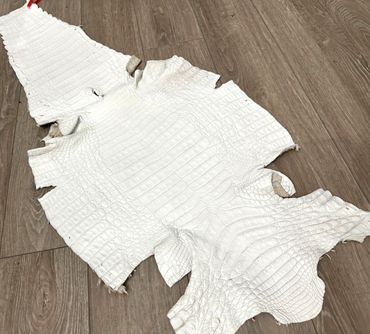 XL White Genuine Caiman Crocodile belly Hide Leather real alligator Croc 784