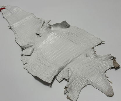 XL White Genuine Caiman Crocodile belly Hide Leather real alligator Croc 859