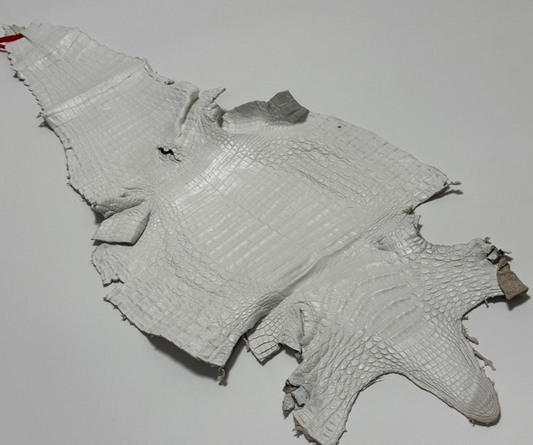 XL White Genuine Caiman Crocodile belly Hide Leather real alligator Croc 859