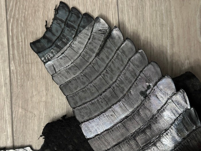 XL Silver Holographic Genuine Caiman Crocodile Hide Leather Skin Alligator 92